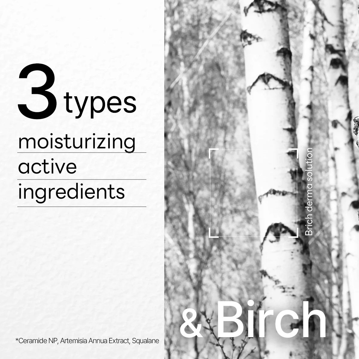 Dermaplus Birch Mask - Image 5