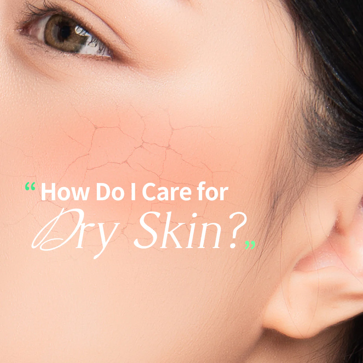 Dermaplus Aloe Mask - Image 2