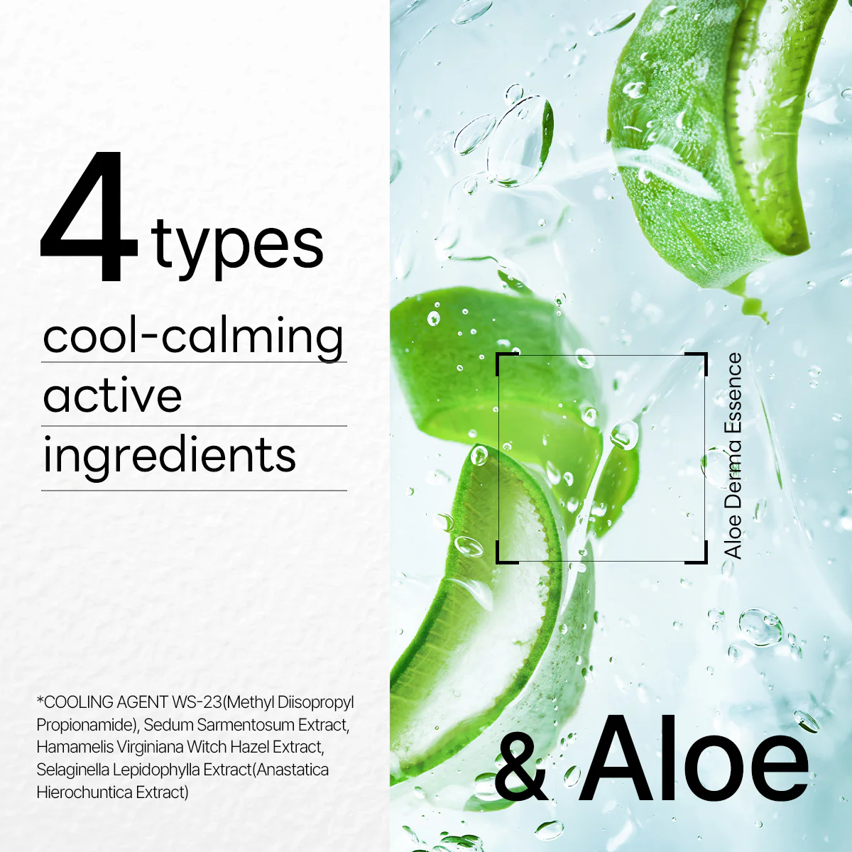 Dermaplus Aloe Mask - Image 5