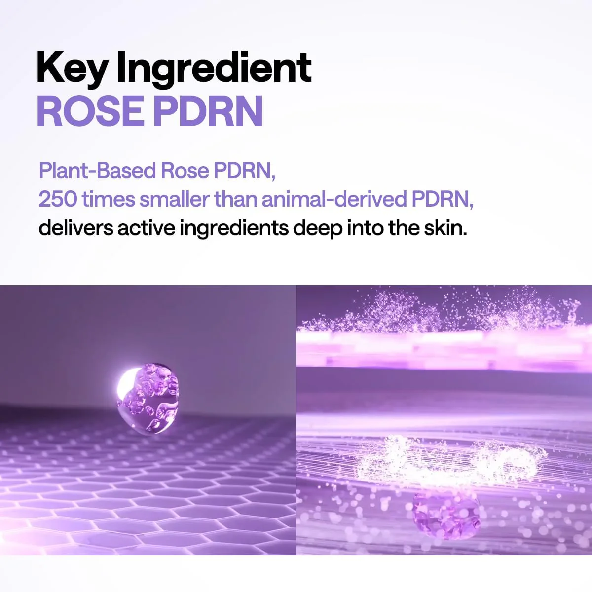 PDRN Lifting Pad - Image 6